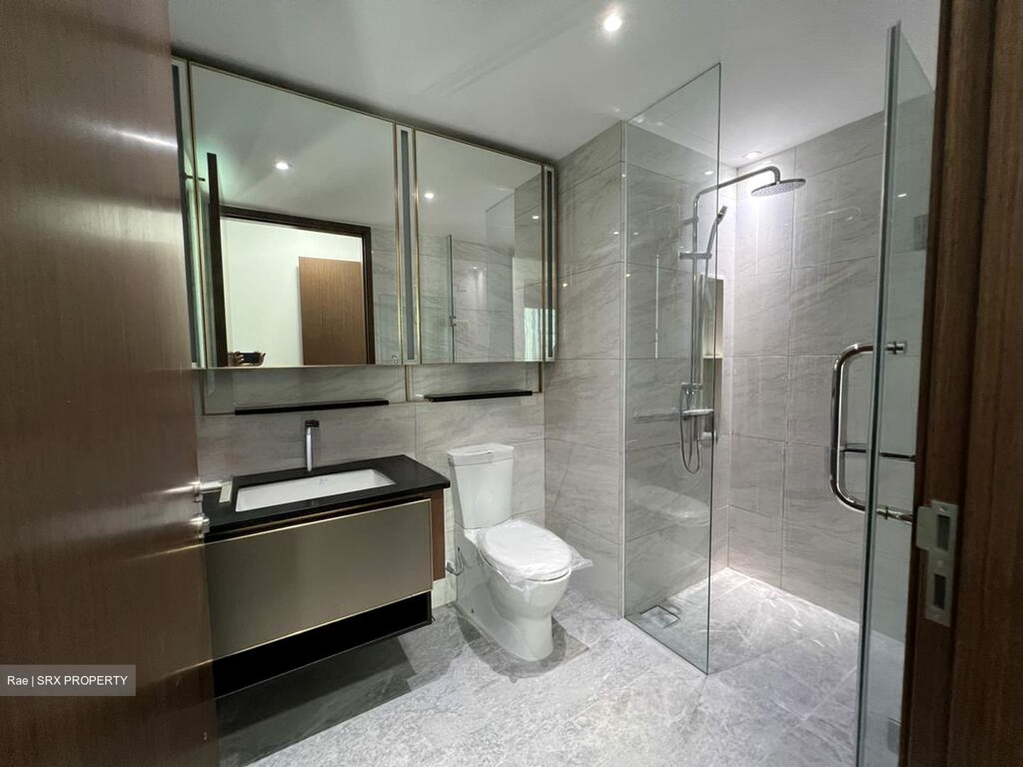 Normanton Park (D5), Apartment #594685461